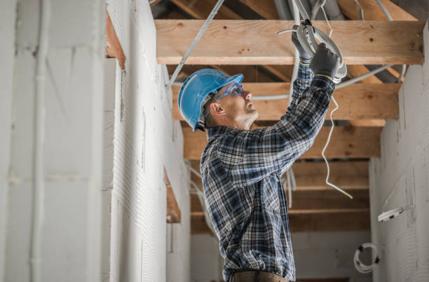 Best Electrician for Home Renovation  in Brooklyn, IA